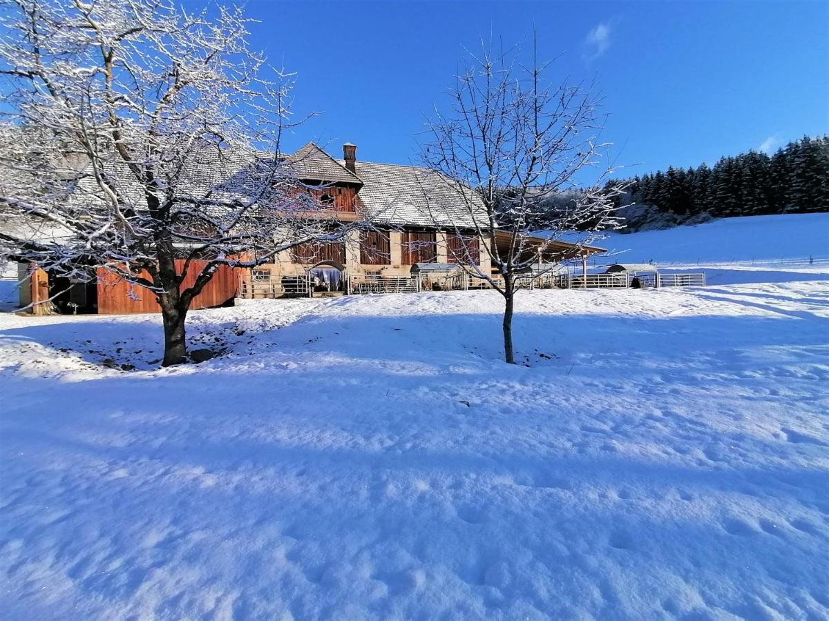 Staudachhof Apartment Althofen  Bagian luar foto