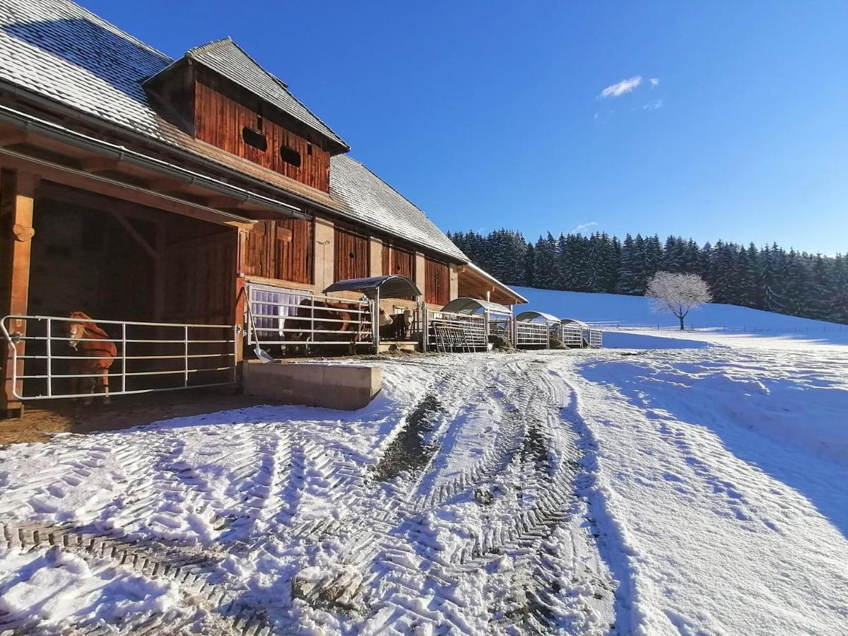 Staudachhof Apartment Althofen  Bagian luar foto