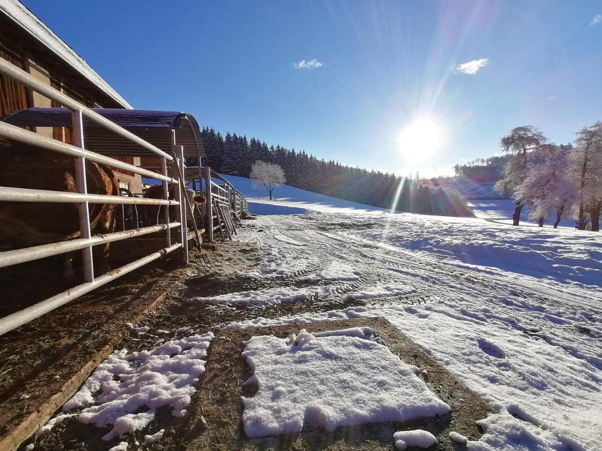 Staudachhof Apartment Althofen  Bagian luar foto